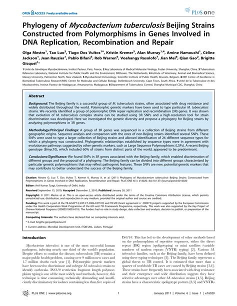 bmyc12|Phylogeny of Mycobacterium tuberculosisBeijing Strains .